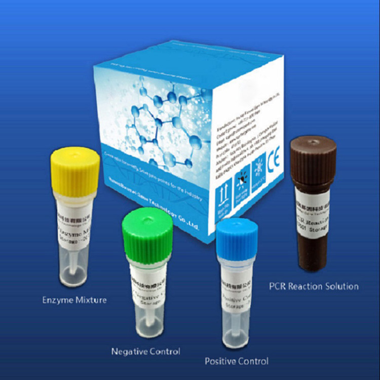 تعتمد مجموعات اختبار تشخيص الكاشف لـ Covid-2019 على منصة Pcr في الوقت الفعلي